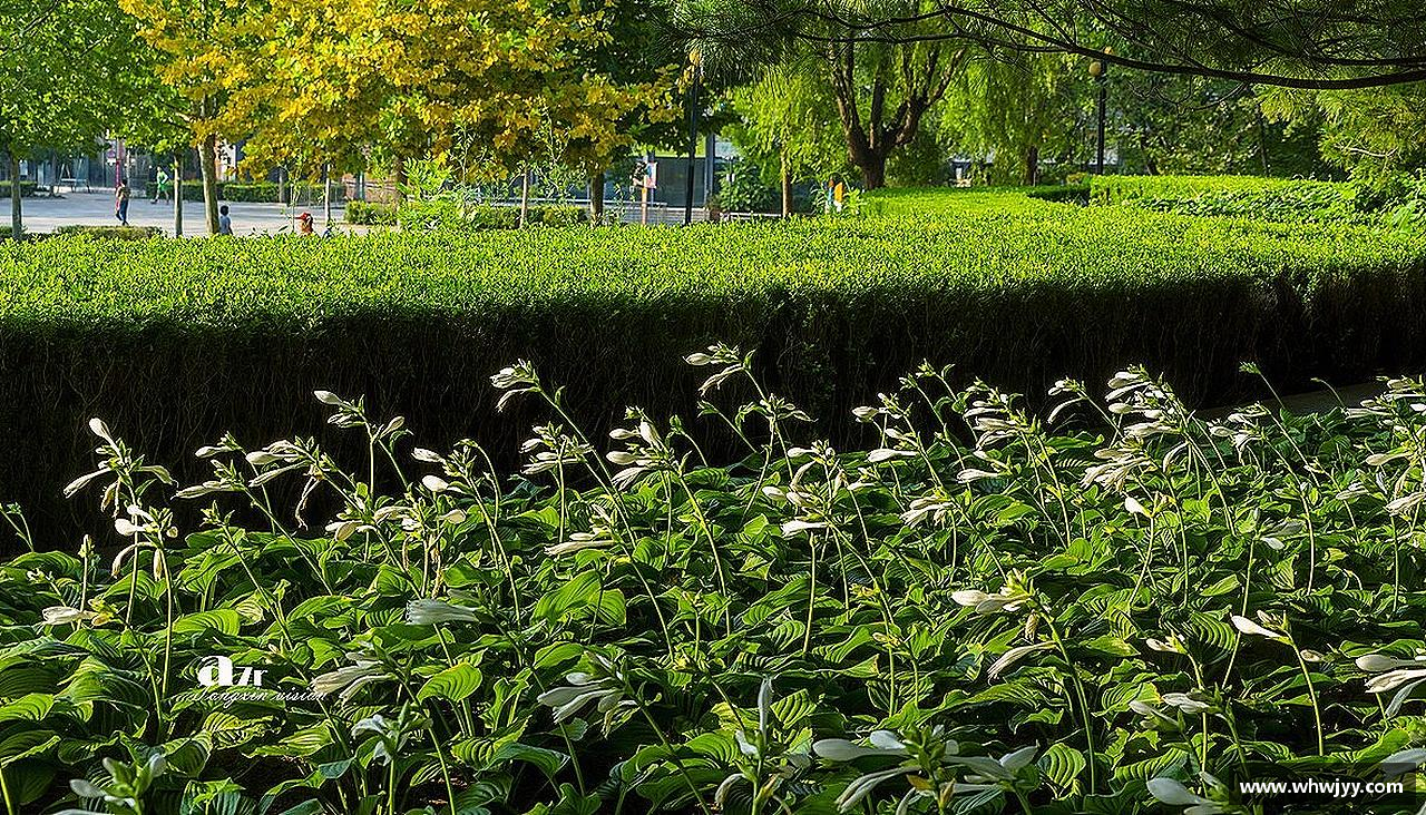 挑战自我，突破极限